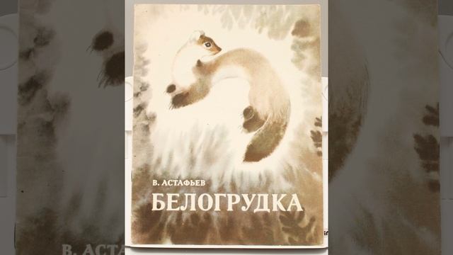 Белогрудка. Автор Астафьев Виктор Петрович. Краткий пересказ. смотреть онлайн