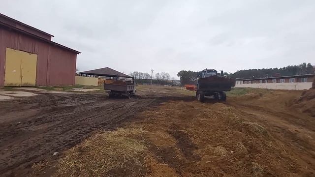 Погрузка конского навоза. смотреть онлайн