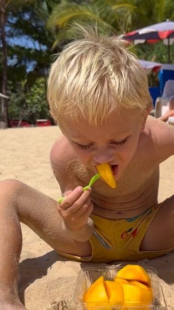 Which one of them is right? смотреть онлайн