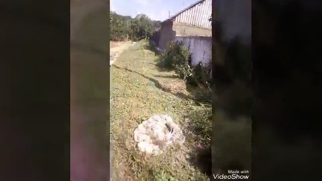 Бульдозер смотреть онлайн