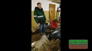 солярис