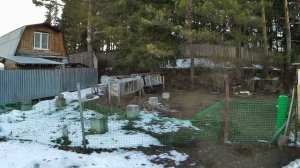 Шашлык машлык самавар