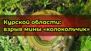 Трагедия в Курской области: взрыв мины «колокольчик»