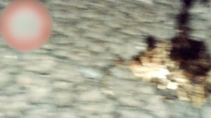 НИКОГДА не строй дом из СИП-панелей! | ТОП-4 минуса структурно-изоляционных панелей