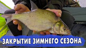 Закрытие сезона на реке Волга. Быт и оборудование для комфортной ловли ночного леща.