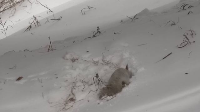 00058 смотреть онлайн