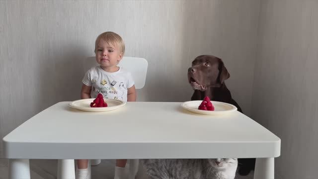 Детские Вайны Короткие смешные видео с малышами Baby Vines