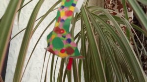 мини продолжение истории кошечке Черри 😻😻😻