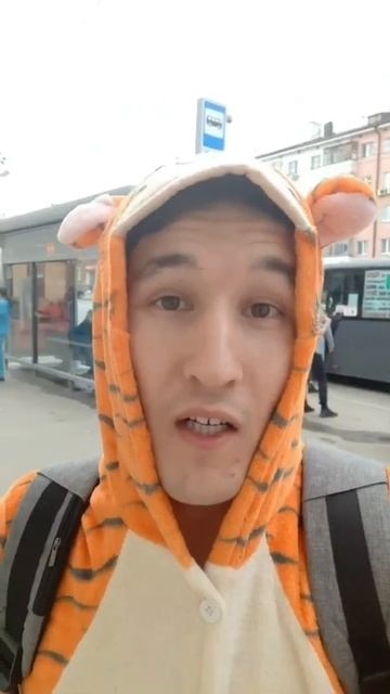 Уфимец в костюме тигра помыл остановку смотреть онлайн