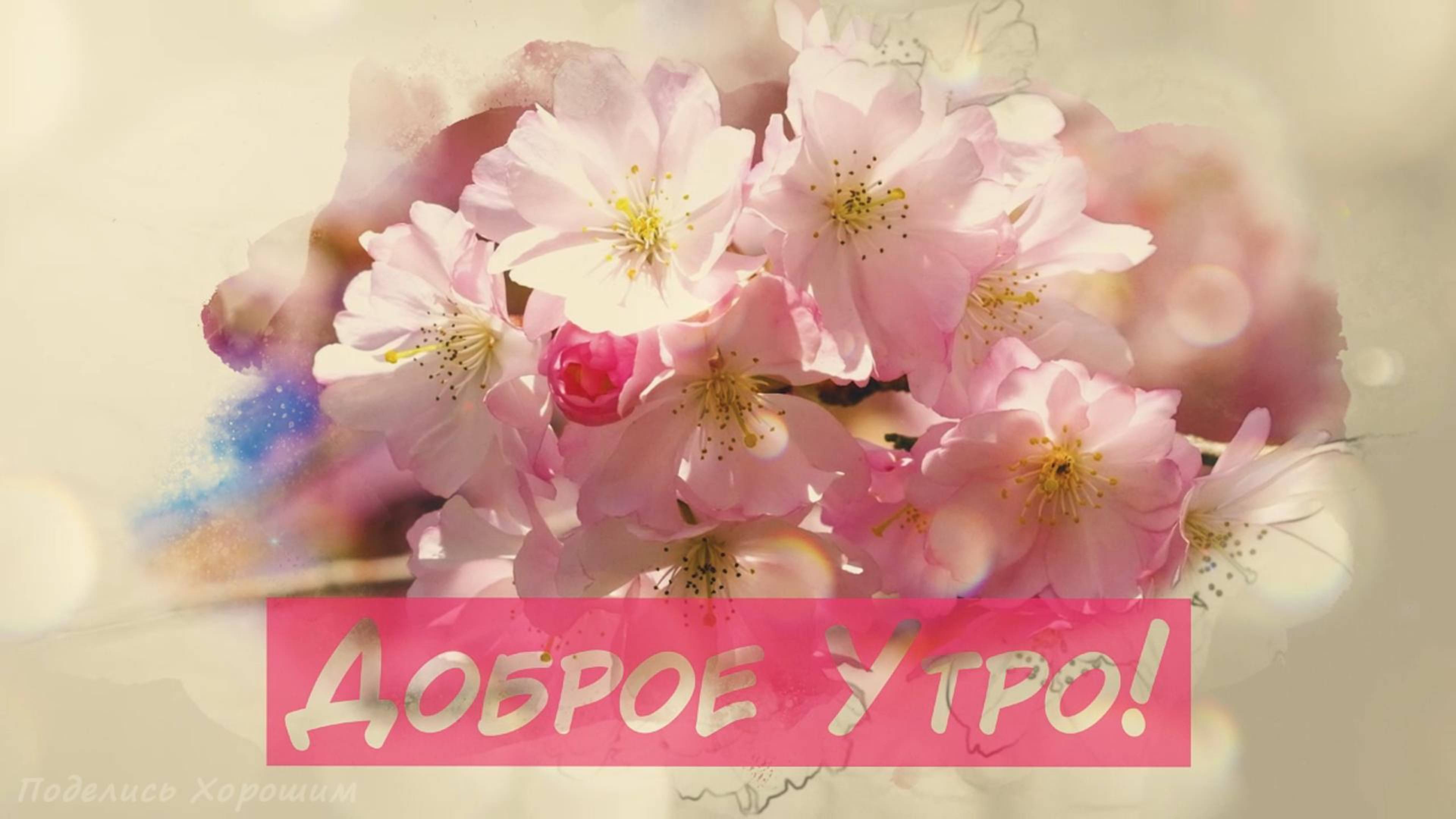 Доброе Утро!