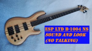 Бас-гитара ESP LTD Deluxe B-1004 NS Electric Bass обзор