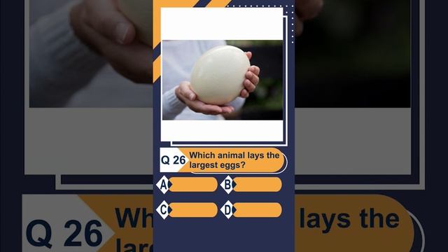 Q.26 Which animal lays the largest beggs! смотреть онлайн