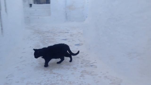 Chasing Sunsets in Santorini