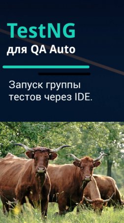 TestNG для QA Auto. Запуск группы тестов через IDE.