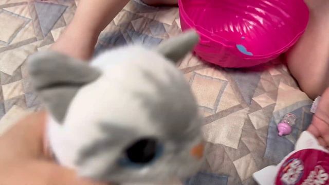 Распаковка подарочка на 8 Марта. Котенок Pets Alive🐈 смотреть онлайн