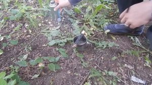 Как Сделать Зернь Для Филиграни В Домашних Условиях