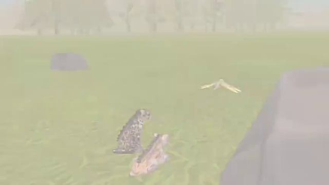 фильм про гепарда Миру смотреть онлайн