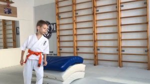 Запрыгивание на препятствие