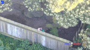 Полиция Сан-Франциско открыла огонь по подозреваемому, размахивавшему оружием через забор