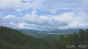 Релакс - музыка. Для души // Дикая природа //