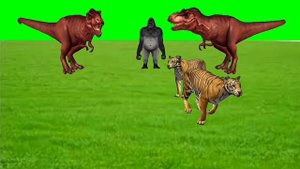 Cartoon Animals Cow,Lion,Tiger,Dinosaur,Gorilla Stampede Green Screen | Animals Stampede & Running