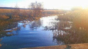 ВОТ ЭТО ПЛОТВА!  Я НАШЕЛ ГДЕ КЛЮЕТ. Рыбалка на поплавок в марте