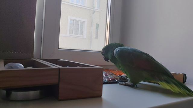 Aggression.mp4 смотреть онлайн