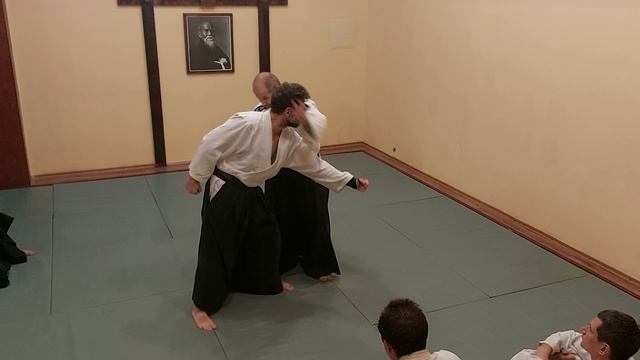 Элементы присоединения в айкидо