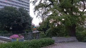 #Крым Территория санатория Мисхор