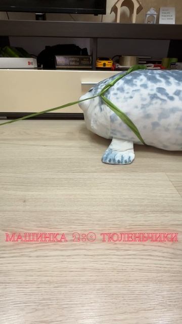 Машинка против тюленей Артикул на ВБ: 265571463 #мягкиеигрушки #игрушки #тюлень #юмор #прикол #мем