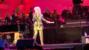 Cyndi Lauper - “She Bob” Friday July 12, 2019 Bee Sting
