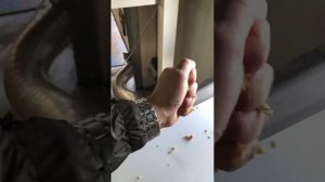 SRAML линия прямого отжима сока 2020г