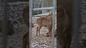 Спа отель Царьград в Подмосковье