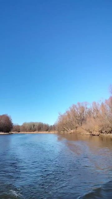 Открыл сезон жидкой воды на реке Илеть смотреть онлайн