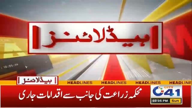 Nipah Virus Spread In Punjab More Lethal Than Corona l 3pm News Headlines l 01 Oct 2023 l City 41