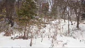 23.03.2025 Павел Журавлёв на Калининском ключе. Красногвардейский