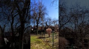 #Калининградскоечтиво #КотыКалининграда