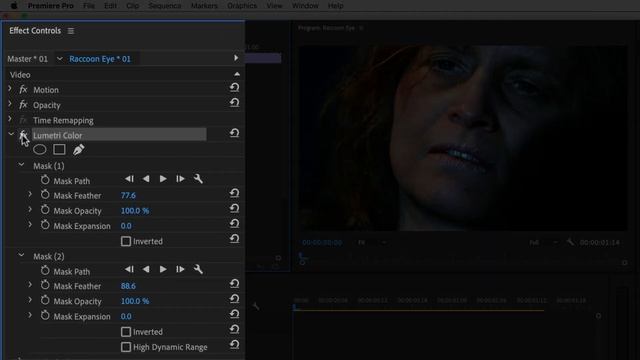Raccoon Eyes Technique in Premiere pro | Adobe Premiere Pro Tutorial смотреть онлайн