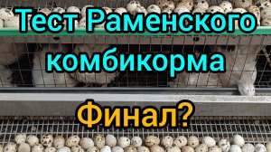 Вес перепелов в 45 дней.