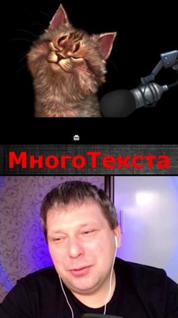 Тот самый кот.