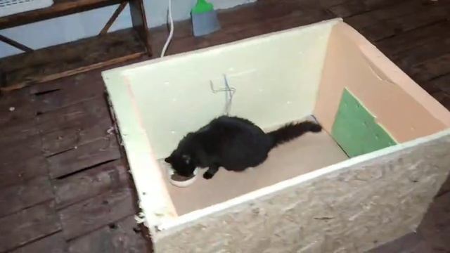 Домик для кота с подогревом своими руками
