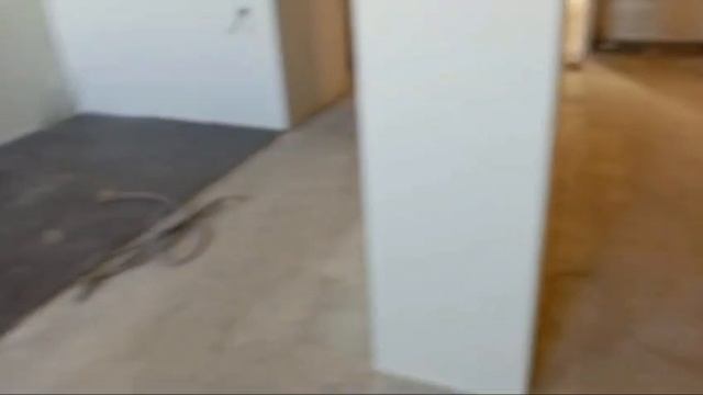 WhatsApp Video 2025-03-23 at 11.15.59