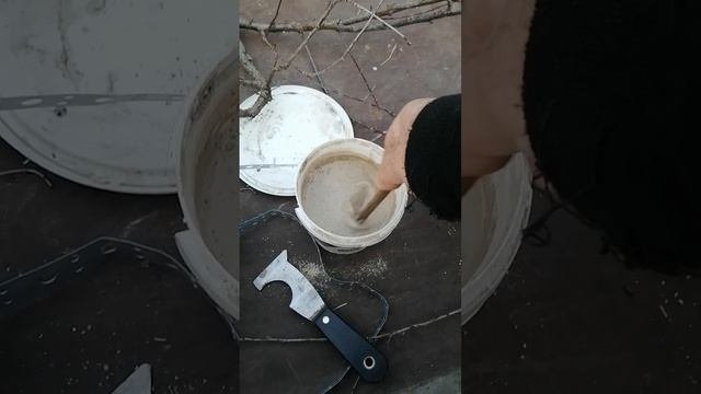Весеннее лечение плодовых деревьев