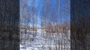 Медитация по проработке страха проявляться