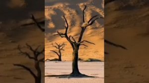 Аудиосказка. Анчар