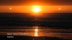 NARIN YARIM TROPICAL CHILL REMIX [2021 / 2022] by katchu