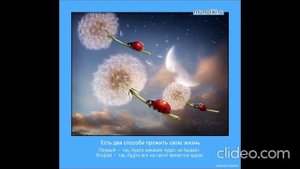 Чудес на свете не бывает