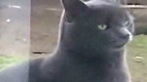 Саня ну открой )