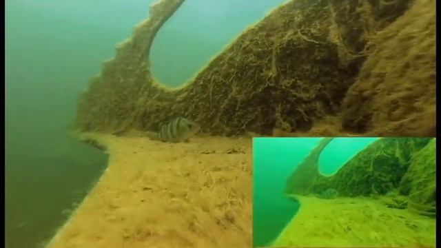 Colour Test Nautilus смотреть онлайн