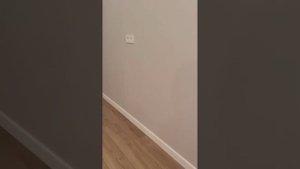 Покраска обоев в домах ПИК